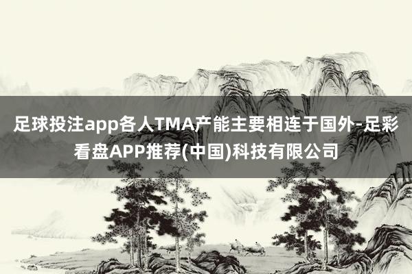 足球投注app各人TMA产能主要相连于国外-足彩看盘APP推荐(中国)科技有限公司