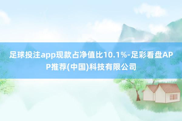 足球投注app现款占净值比10.1%-足彩看盘APP推荐(中国)科技有限公司