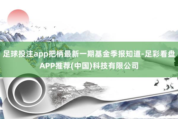 足球投注app把柄最新一期基金季报知道-足彩看盘APP推荐(中国)科技有限公司