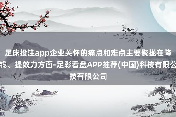 足球投注app企业关怀的痛点和难点主要聚拢在降本钱、提效力方面-足彩看盘APP推荐(中国)科技有限公司