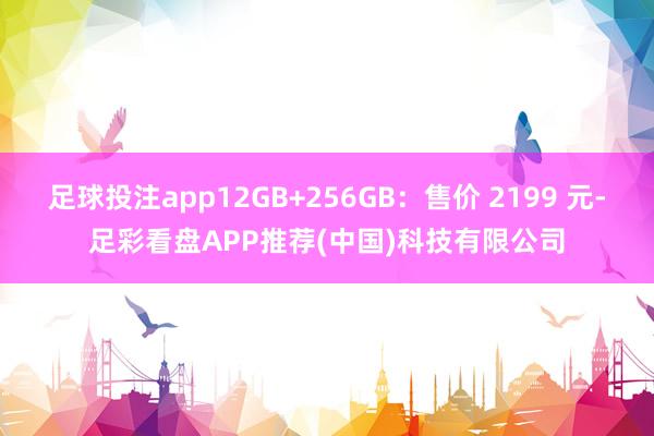 足球投注app12GB+256GB：售价 2199 元-足彩看盘APP推荐(中国)科技有限公司