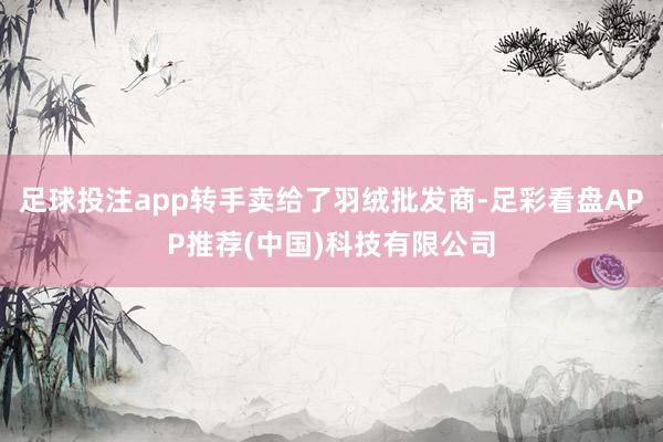 足球投注app转手卖给了羽绒批发商-足彩看盘APP推荐(中国)科技有限公司