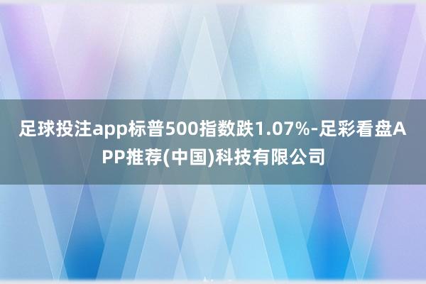 足球投注app标普500指数跌1.07%-足彩看盘APP推荐(中国)科技有限公司