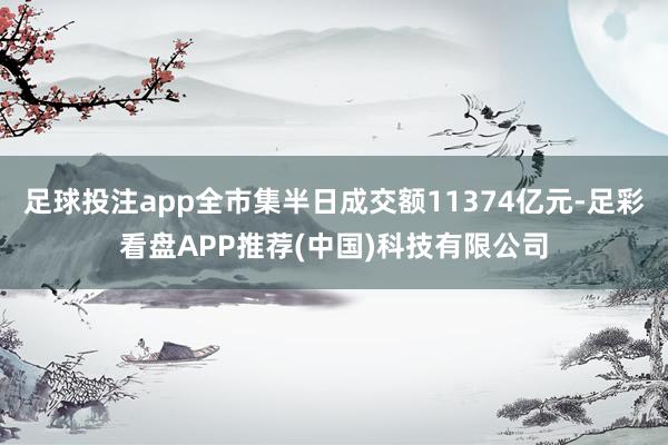 足球投注app全市集半日成交额11374亿元-足彩看盘APP推荐(中国)科技有限公司