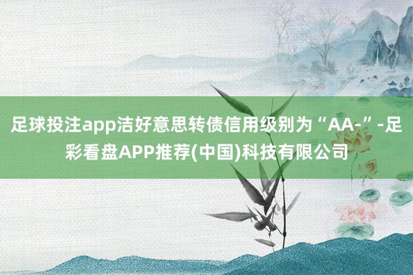 足球投注app洁好意思转债信用级别为“AA-”-足彩看盘APP推荐(中国)科技有限公司