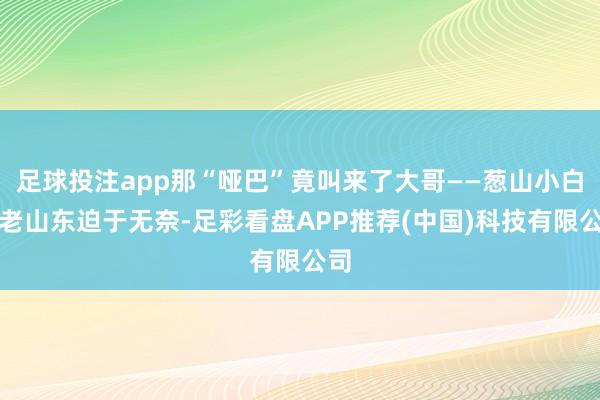 足球投注app那“哑巴”竟叫来了大哥——葱山小白马老山东迫于无奈-足彩看盘APP推荐(中国)科技有限公司