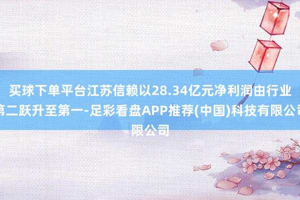 买球下单平台江苏信赖以28.34亿元净利润由行业第二跃升至第一-足彩看盘APP推荐(中国)科技有限公司
