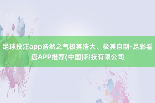 足球投注app浩然之气极其浩大、极其自制-足彩看盘APP推荐(中国)科技有限公司