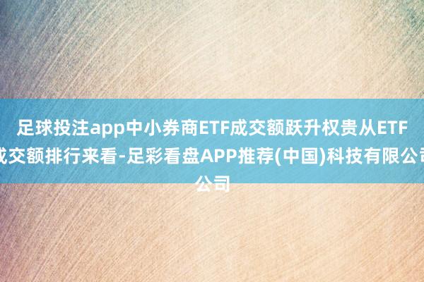 足球投注app中小券商ETF成交额跃升权贵从ETF成交额排行来看-足彩看盘APP推荐(中国)科技有限公司