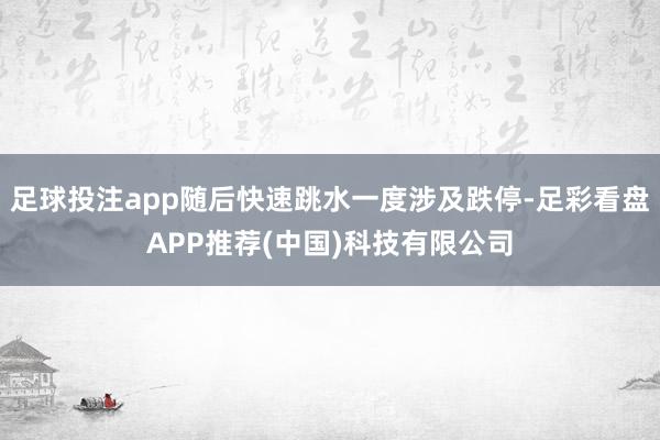 足球投注app随后快速跳水一度涉及跌停-足彩看盘APP推荐(中国)科技有限公司