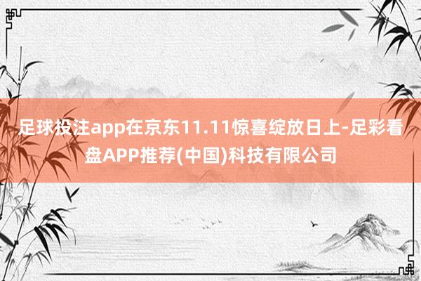 足球投注app在京东11.11惊喜绽放日上-足彩看盘APP推荐(中国)科技有限公司