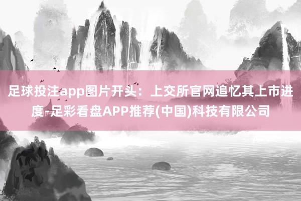 足球投注app图片开头:上交所官网 追忆其上市进度-足彩看盘APP推荐(中国)科技有限公司