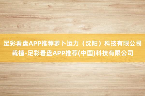 足彩看盘APP推荐萝卜运力（沈阳）科技有限公司栽植-足彩看盘APP推荐(中国)科技有限公司