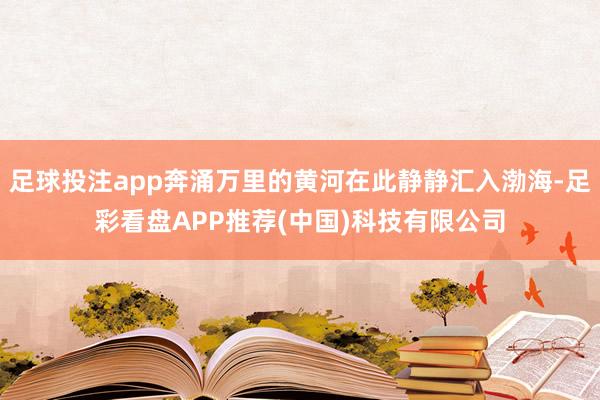 足球投注app奔涌万里的黄河在此静静汇入渤海-足彩看盘APP推荐(中国)科技有限公司
