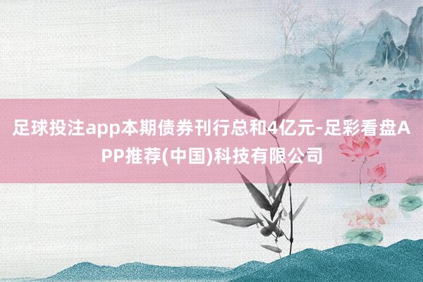 足球投注app本期债券刊行总和4亿元-足彩看盘APP推荐(中国)科技有限公司