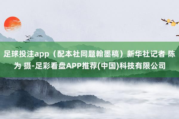 足球投注app（配本社同题翰墨稿）新华社记者 陈为 摄-足彩看盘APP推荐(中国)科技有限公司