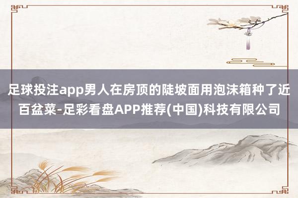 足球投注app男人在房顶的陡坡面用泡沫箱种了近百盆菜-足彩看盘APP推荐(中国)科技有限公司
